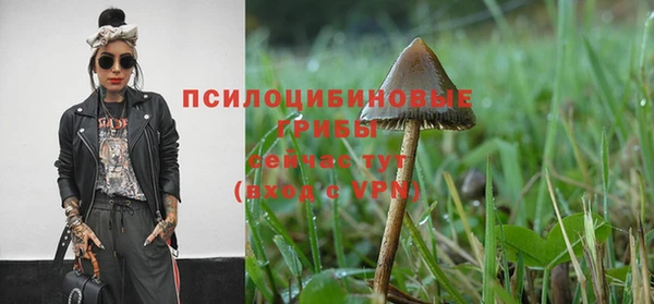 кокаин перу Касимов