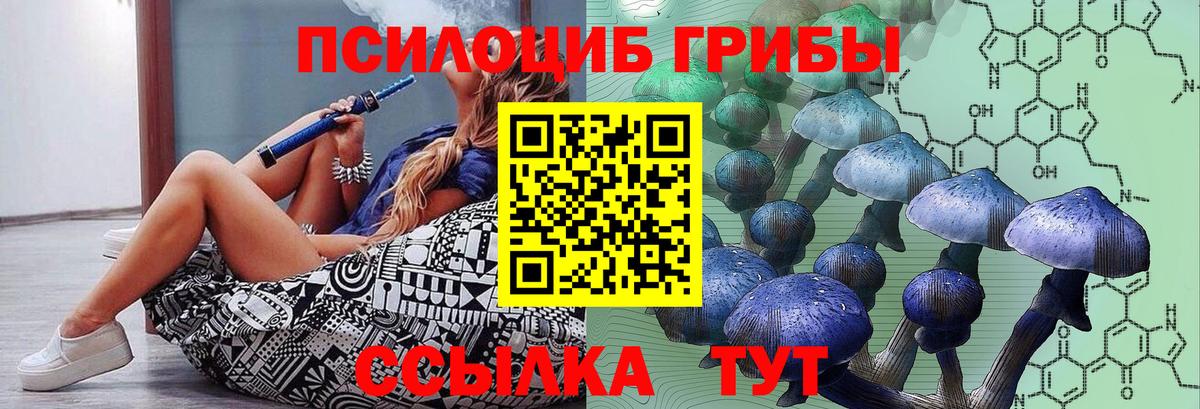 Галлюциногенные грибы MAGIC MUSHROOMS  Псилоцибиновые грибы MAGIC MUSHROOMS  Домодедово 