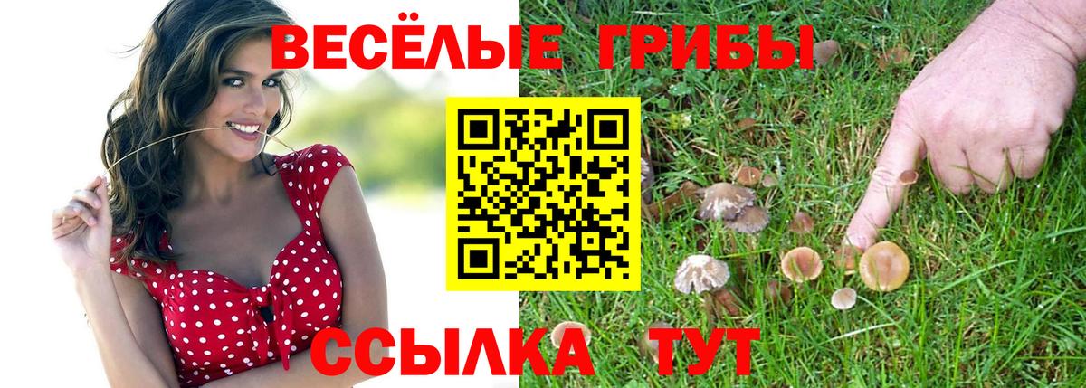 Псилоцибиновые грибы Cubensis Домодедово