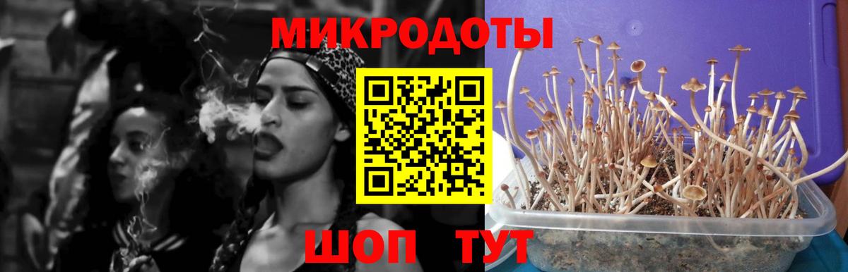 Псилоцибиновые грибы ЛСД  Вход с VPN  Домодедово  Псилоцибиновые грибы прущие грибы 